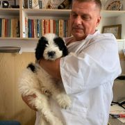 SPIRITUL MIORITICULUI ENIA MONASIM