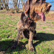 Nancy ze Staropleskych luk