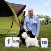 SHIMMER OF THE RING Czar Krakowa