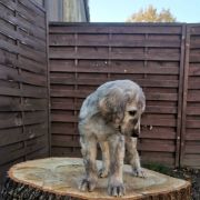 ANGEL’S KISS Masz Ci Kwiat