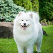 Carissa from Kel'bin treasure-house 