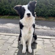 Anidamara FOLLOW TOGETHER 