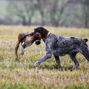 Eike della Ca’Rigada
