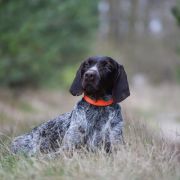 Eike della Ca’Rigada