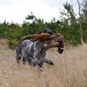 Eike della Ca’Rigada