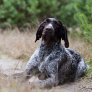 Eike della Ca’Rigada