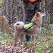 EJNA z Sosnowej Zagrody