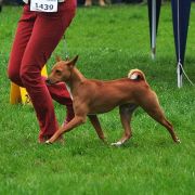 E'Kinga Kinaya Lady Congo 