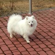 ELDORADO Perłowy Ogród 3