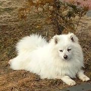 ELDORADO Perłowy Ogród 4