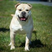 EMBAT R.J.Osanna FCI 3