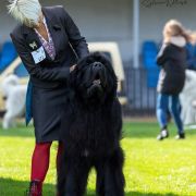 Emir Iz Zamka Melvin