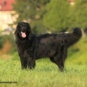 ENORMOUS QUI PRO QUO 2