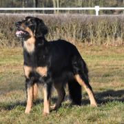 Enormous TRUE TEMPTATION