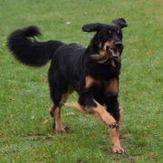 Enormous TRUE TEMPTATION