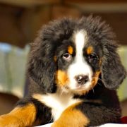  Enrique Z Cichej Górki