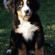  Enrique Z Cichej Górki 2