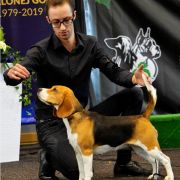 ERIS ELAN z Negraland (FCI)