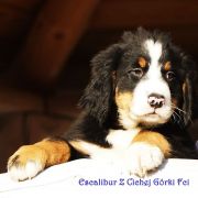  Escalibur Z Cichej Górki 2