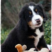  Escalibur Z Cichej Górki 3