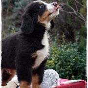  Escalibur Z Cichej Górki 4