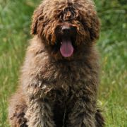 Espartana de Azocarrem