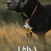 ESSENCYA Wild Smile FCI 