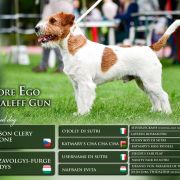 Ettore Ego Baleff Gun 2