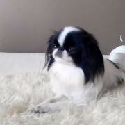 EUPHORIA BALTIC SAND