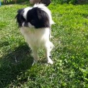 EUPHORIA BALTIC SAND 2