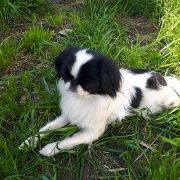 EUPHORIA BALTIC SAND 3