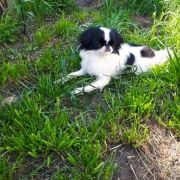 EUPHORIA BALTIC SAND 4