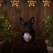 EURO WENDY Extrawitek friends