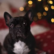 EURO WENDY Extrawitek friends