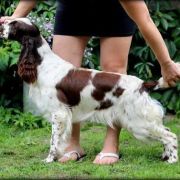 Everything's Not Lost Avendesora Poland 