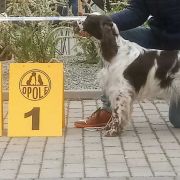 Everything's Not Lost Avendesora Poland 3