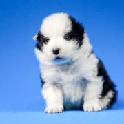 Extra Life Natalaland