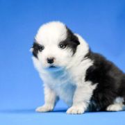 Extra Life Natalaland 2