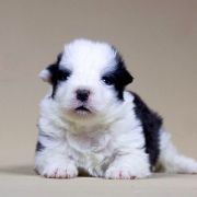 Extra Life Natalaland 3