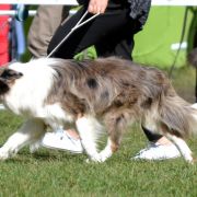 HOLY SMOKE Mystique Regni 3