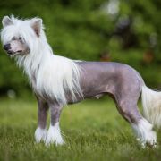 MADE MY DAY von Shinbashi 