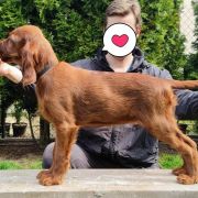 ETERNIA MADAME RAZZ Ginger State of Mind