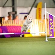 KISSES OF ANGEL CAIA