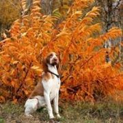 Naomi di Val Ravanaga