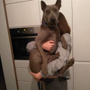 PRIMO z Lasów Preczowskich