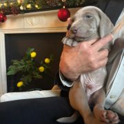 Ferst Lady Joy Spirit