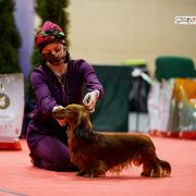 ARS AMANDI Marzenie Gabrysi FCI