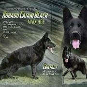 Розплідник