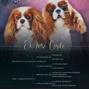 Xander Ex imo Corde (FCI)