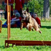 Agar Rayo De Sol Per Bene 2